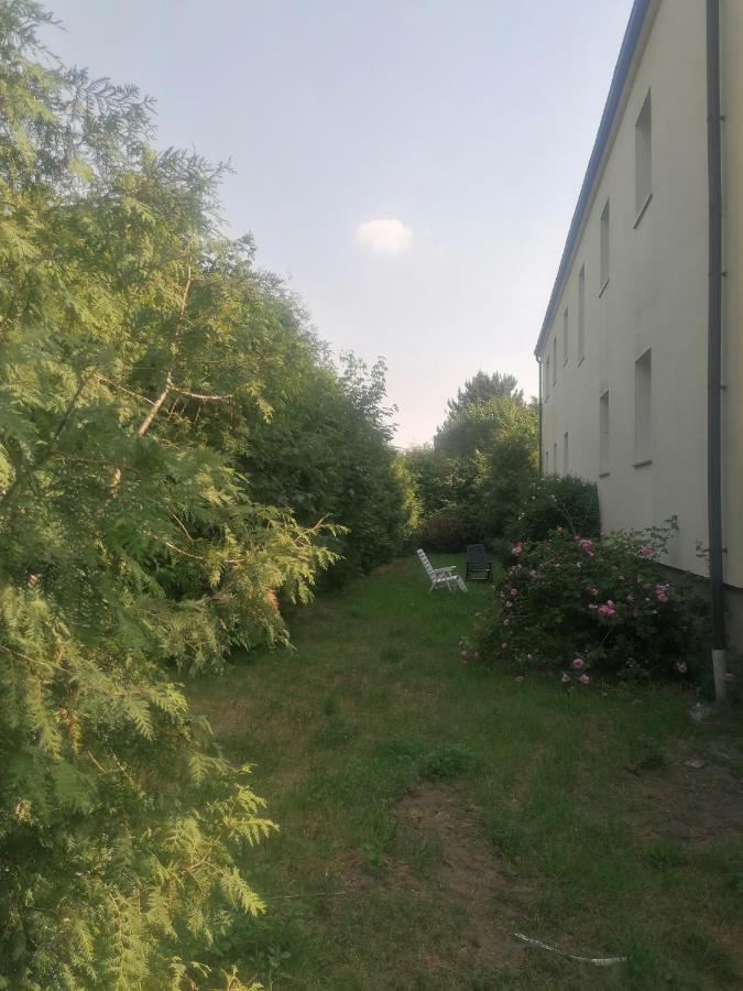 Gaestehaus An Der Warnow Daire Schwaan Dış mekan fotoğraf